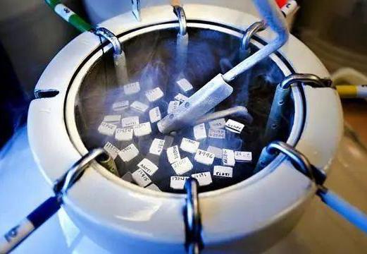 細(xì)胞凍存 細(xì)胞凍存