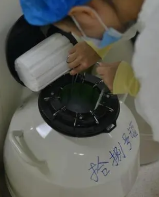 液氮罐檢查 液氮罐檢查