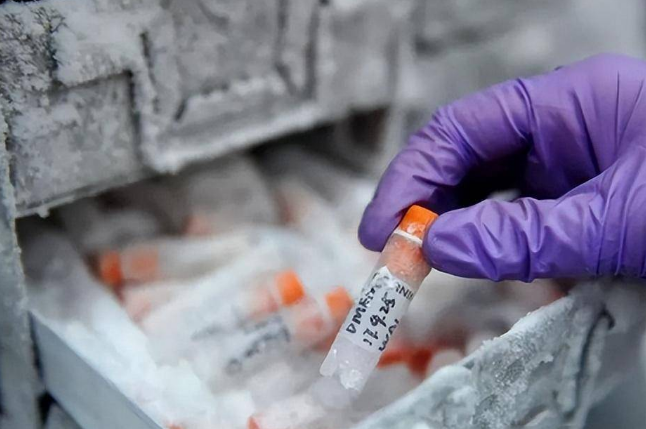 細(xì)胞凍存 細(xì)胞凍存