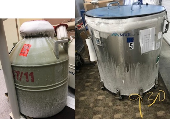 液氮罐內(nèi)部結(jié)冰 液氮罐內(nèi)部結(jié)冰