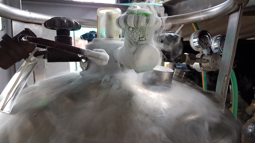 液氮補(bǔ)給罐 液氮補(bǔ)給罐